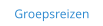 Groepsreizen